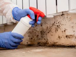 Best Real Estate Mold Inspection in Perryville, MO